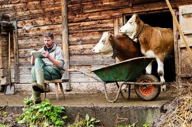 Бизнес в селе